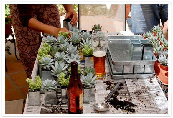 You can see the full tutorial succulent making party including beer nice
