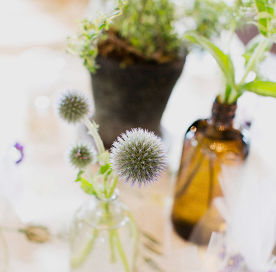 hand-picked buds and bottle vases