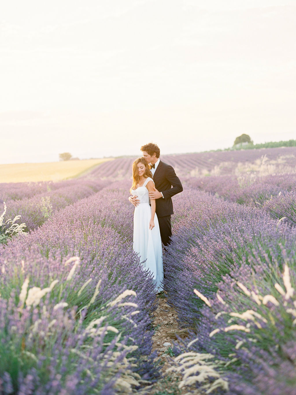 Love among the lavender fields - 100 Layer Cake