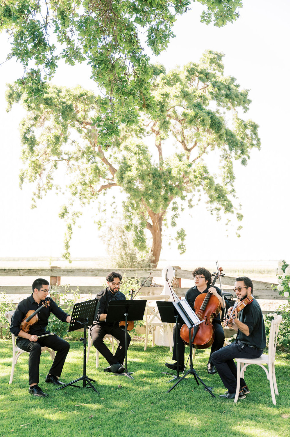 string quartet for wedding ceremony