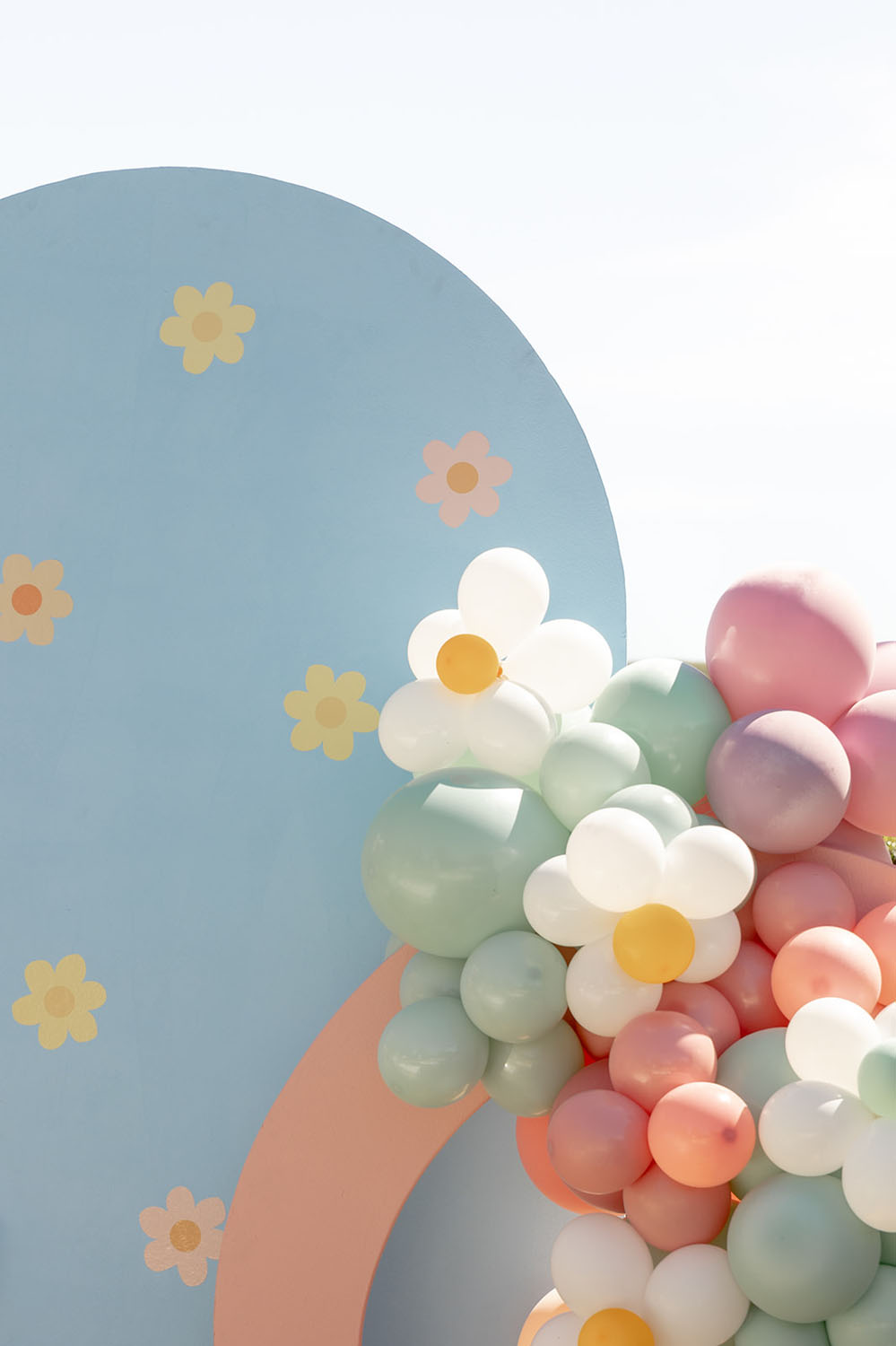 daisy themed backdrop and balloons