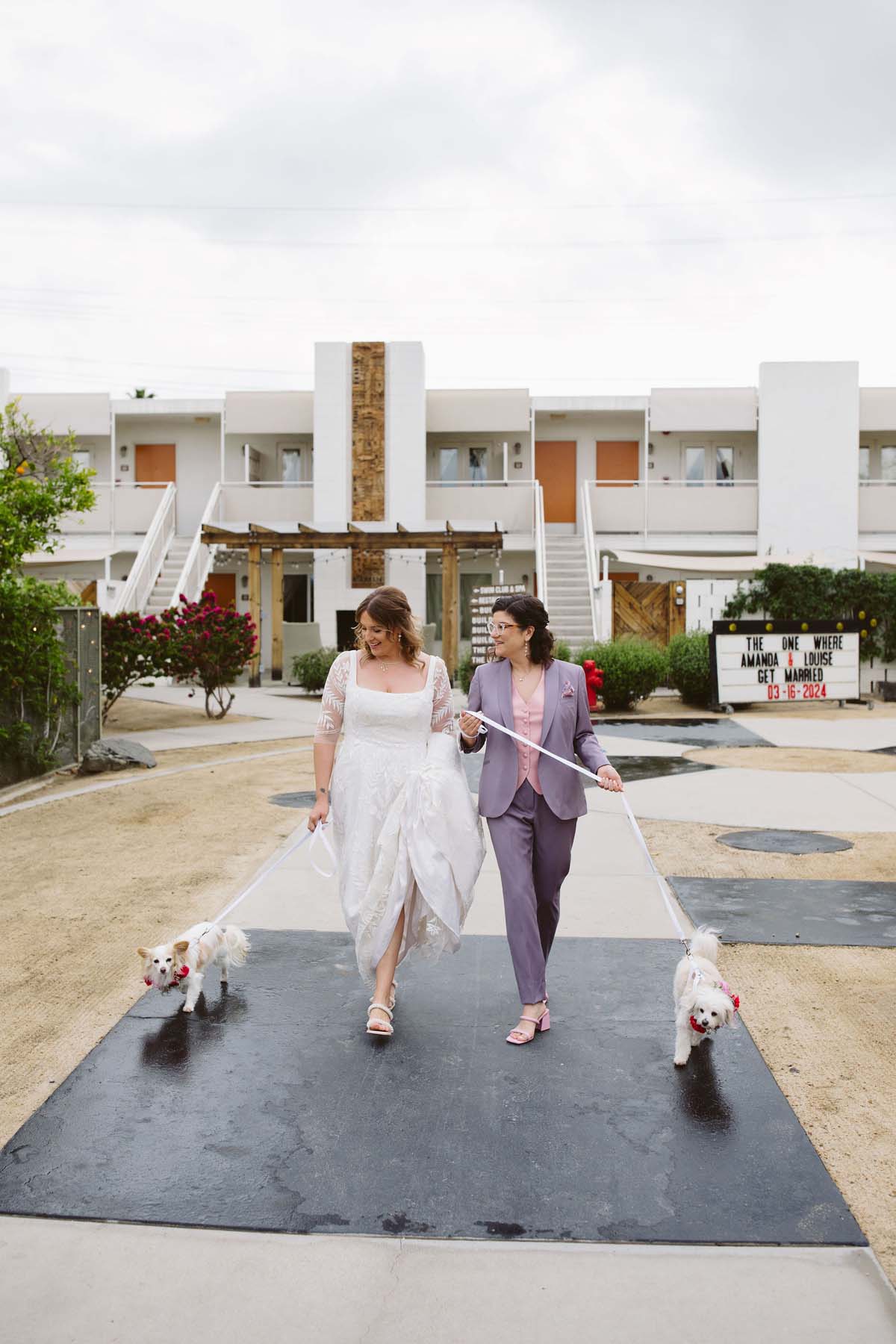 brides with dogs wedding portrait at ace hotel palm springs