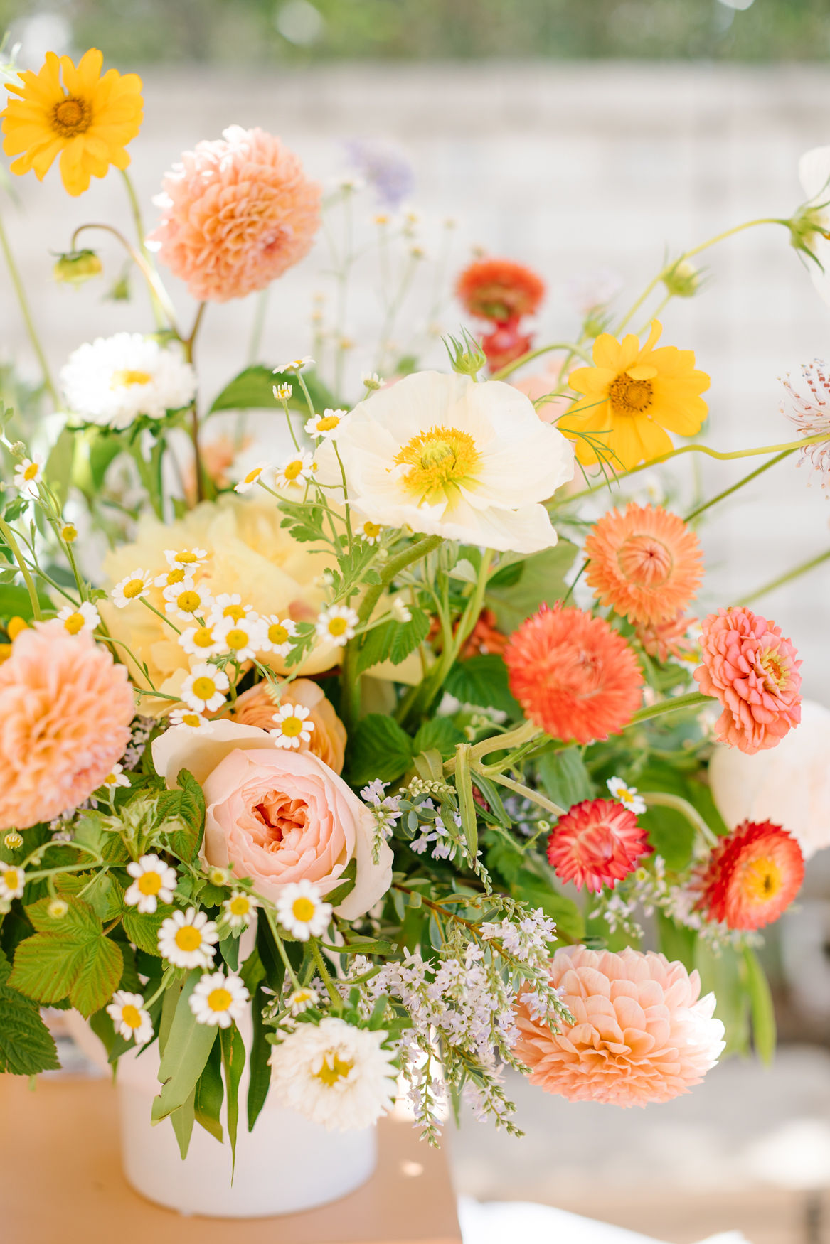 spring coral orange and pink flowers