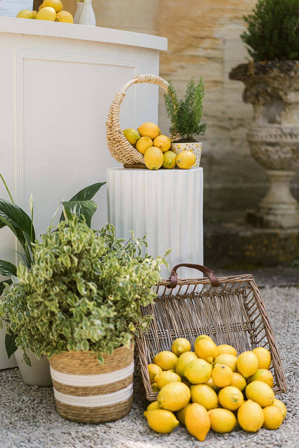 lemons as wedding decor