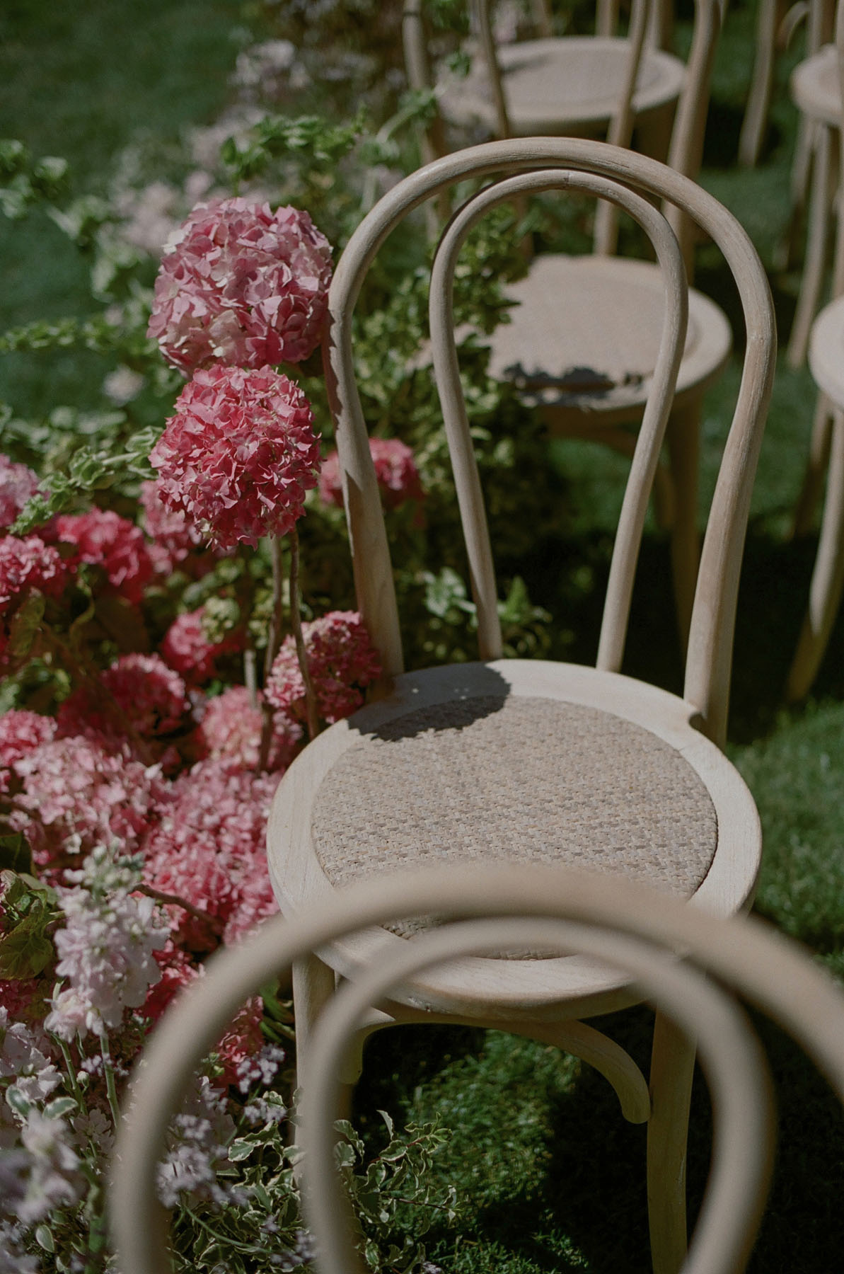 modern wild wedding aisle flowers at Carmel Valley Ranch